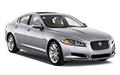 Jaguar Jaguar